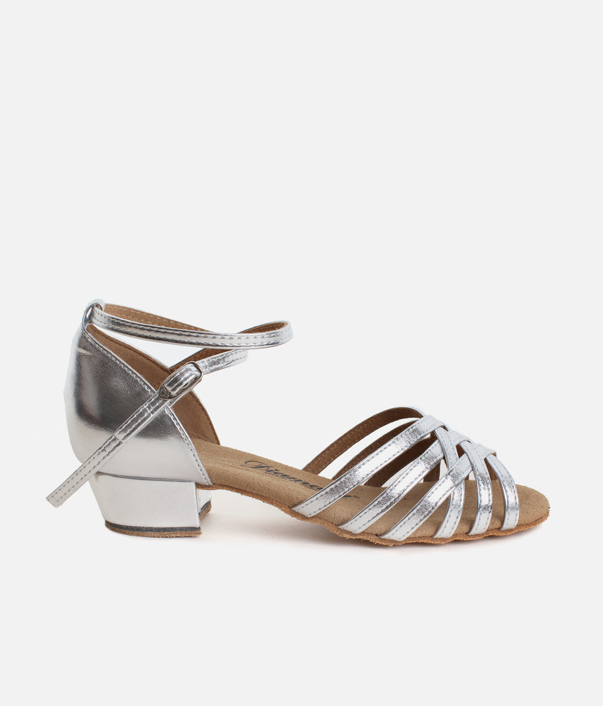 Silver Ballroom & Latin Dance Shoes, Low Block Heel - 008