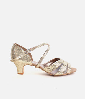 Ballroom Dance Shoes, Low Heels - BL198