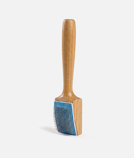 Dance Shoe Wire Brush With Case, Suede Sole Cleaner & Grip Restorer