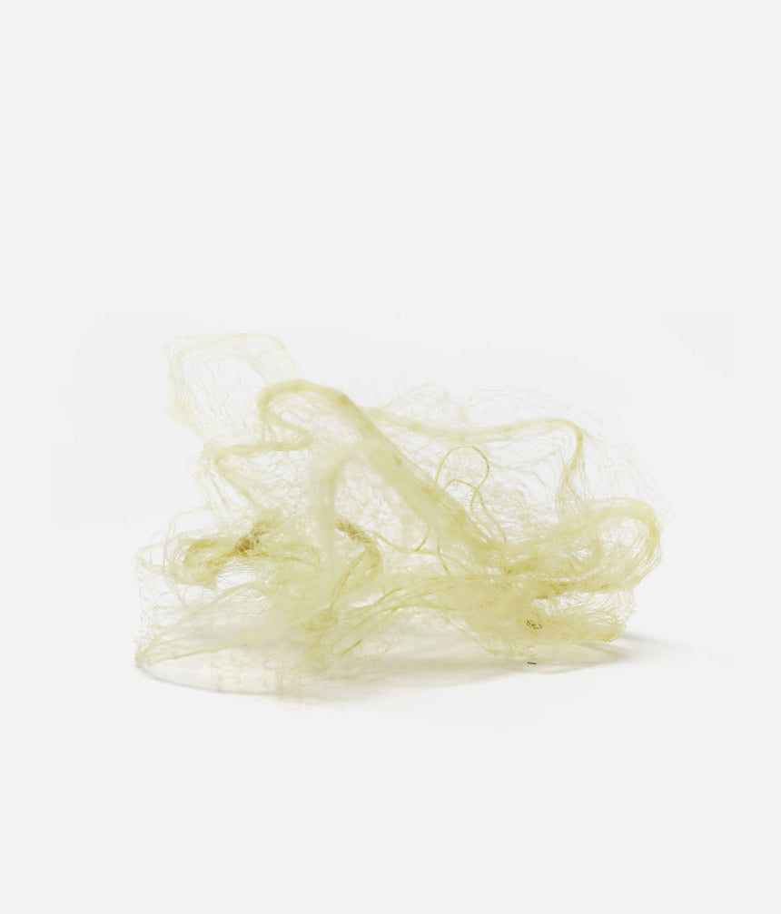 Premium Performance Ballet Bun Nets for Dancers, 3-Pack - TH046